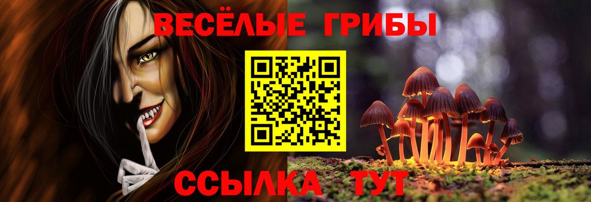 Псилоцибиновые грибы Psilocybine cubensis  Вход с VPN  Североморск 